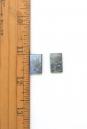 Monet Water Lily Studs